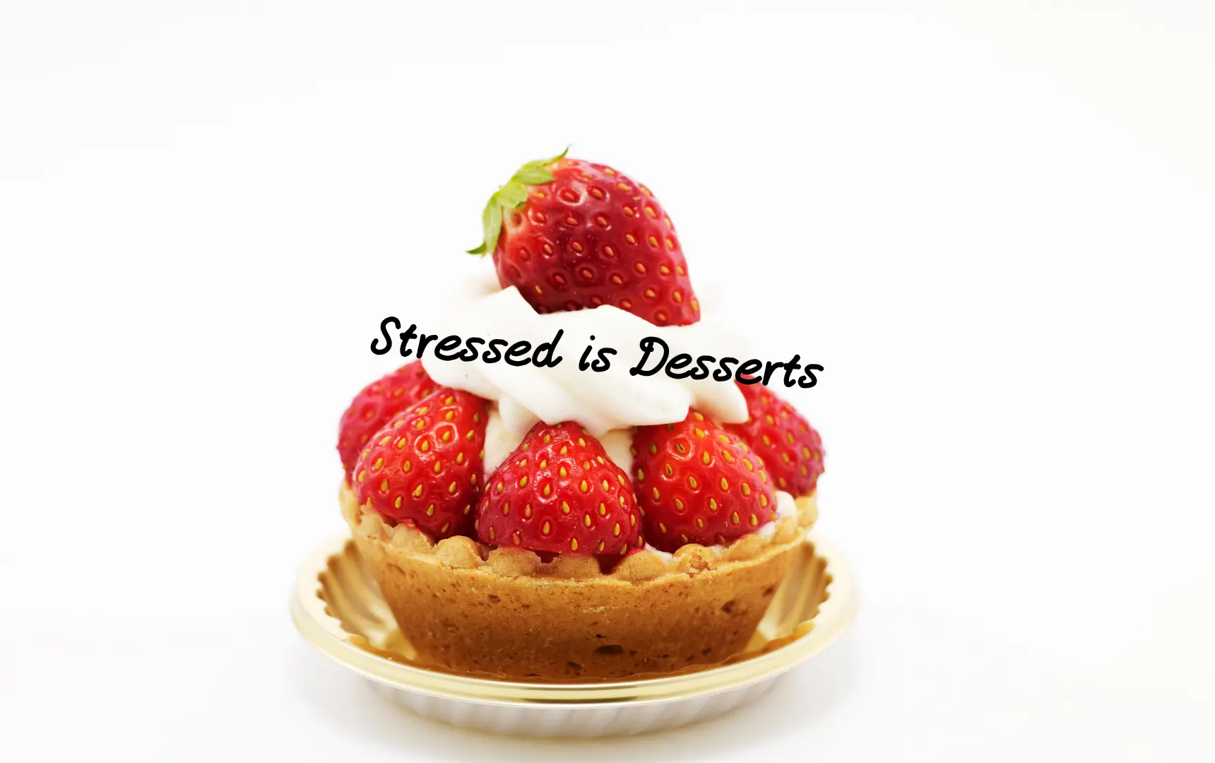 情緒管理與壓力調適04